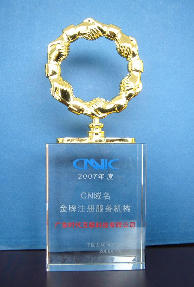 2007年度 CNNIC CN域名金牌注册服务机构”