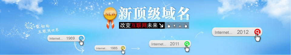 一网多站时代